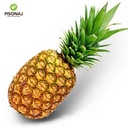 اناناس سكري