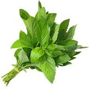 ربطة نعناع صغيرة