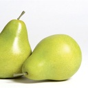 [f121] كمثرى بلدي